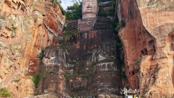 Private Tour zur Chengdu Panda Base und zum Großen Buddha von Leshan