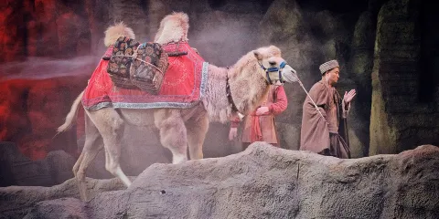 《駝鈴傳奇》秀私享團半日遊(每單專車接送+演出票買2送1)