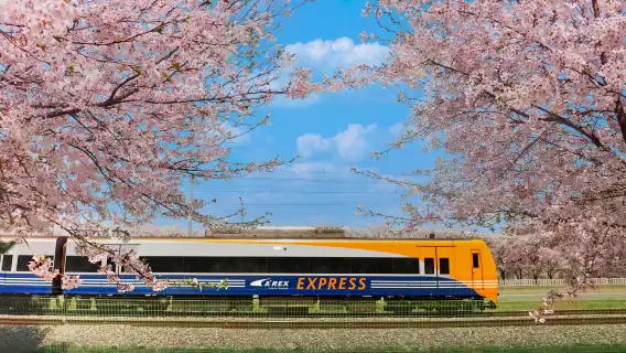 ตั๋วรถไฟ AREX Incheon Airport Express 