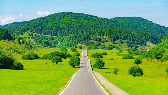 Wulong Three Natural Bridges + Fairy Mountain Forest Park: Independent Tour with English guide|Geological wonders tour