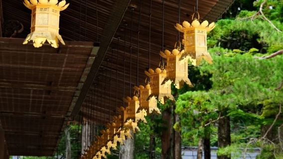 日本大阪-和歌山-白濱一日遊12h-可關西周邊日本全境/包車