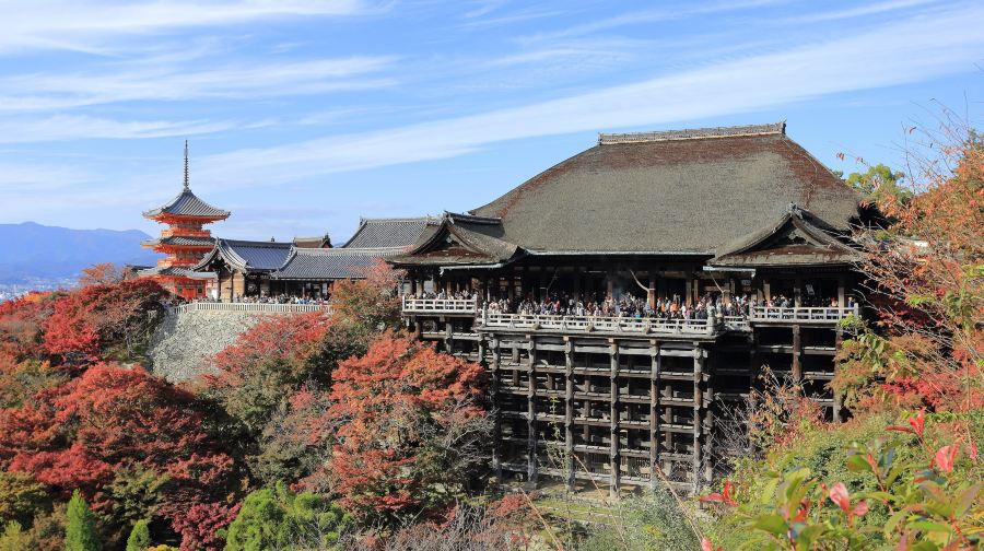 京都&宇治一日遊|金閣寺+清水寺+平等院+猴子神社+二三年坂