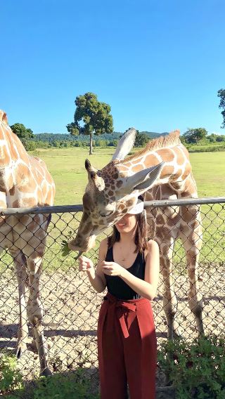 Coron Calauit Safari and Black Island Day Tour