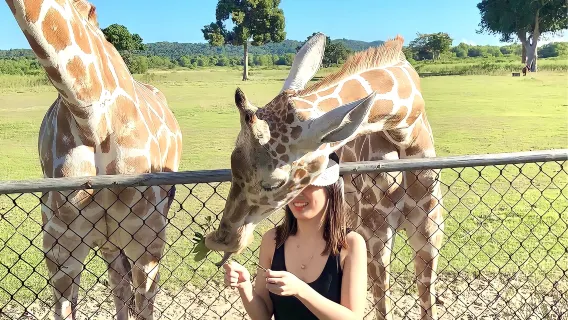 Coron Calauit Safari and Black Island Day Tour