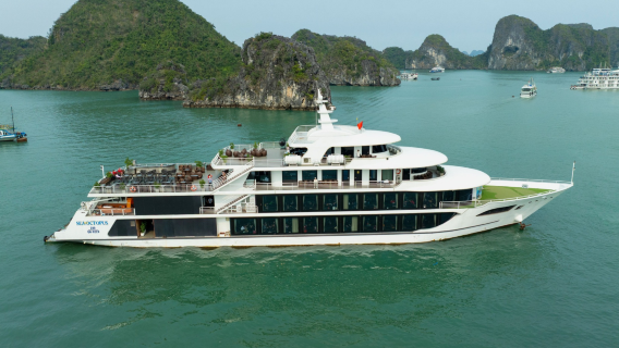 Crociera Sea Octopus – Esplorazione di 1 giorno nella Baia di Halong con grotta, isola e tè pomeridiano