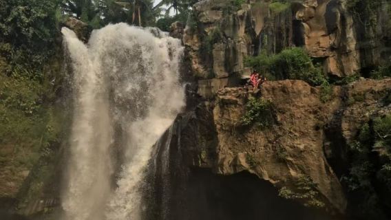 Columpio gigante de Bali + almuerzo + cascada del bosque de Bali + café de civeta + templo de Gunung Kawi