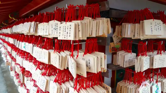 Dazaifu Tenmangu Shrine + Yanagawa Hakushu Sightseeing one-day tour[Private Small Group]