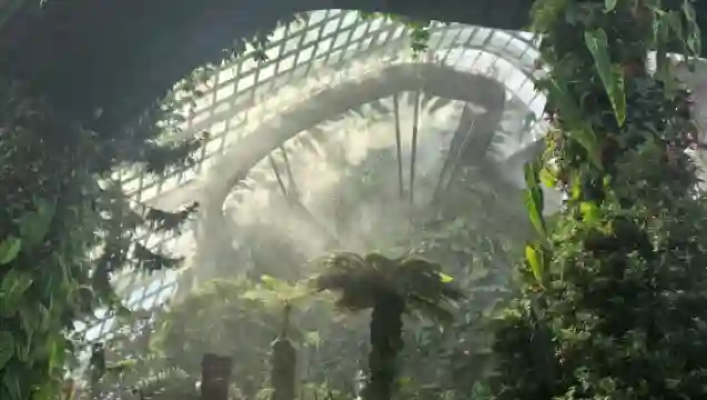 新加坡市區包車一日遊-親子歡樂之旅-可多日包車-精選