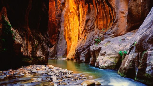 Zion National Park In-Depth Hiking one-day tour from Las Vegas, USA with Lunch
