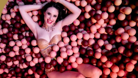 Museum of Desire: Entry Ticket