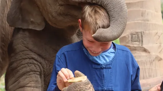 [UFFICIALE] LIVING GREEN ELEPHANT SANCTUARY (servizio di trasferimento opzionale da BANGKOK e PATTAYA)