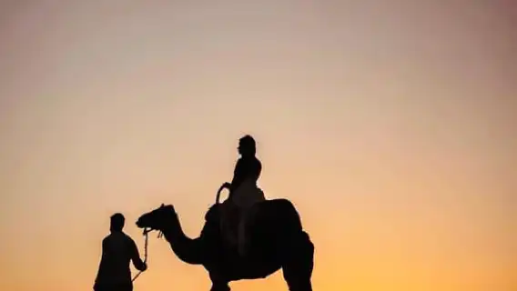 จากเมืองมาร์ราเกช: ทัวร์ชมพระอาทิตย์ตกที่อากาเฟย์พร้อมอาหารค่ำและการแสดง