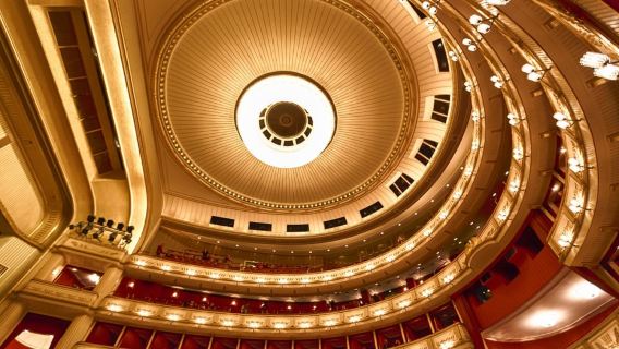 Viena_ Visita guiada privada a pie: Conoce la vida de Beethoven