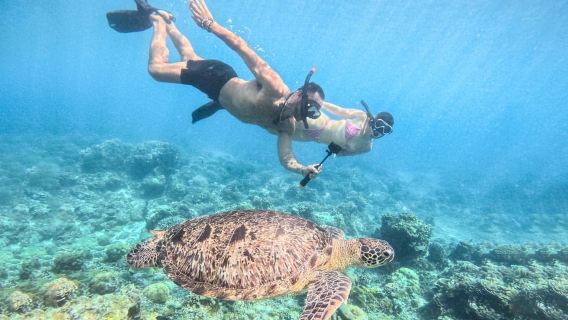 From Lombok: Full-Day Gili Gede, Rengit, & Layar Island Tour