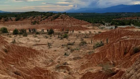 เนวา: ทริปวันเดียวพร้อมไกด์นำเที่ยวสู่ทะเลทรายตาตาโกอาพร้อมอาหารกลางวัน