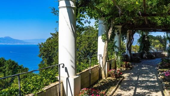 Desde Sorrento: tour privado a Capri, Gruta Azul y Positano