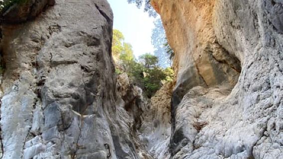 Crete: Kritsa Canyon Guided Hiking Tour