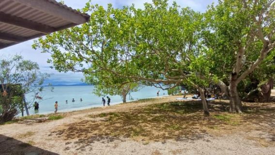 Noumea: Master Islet Roundtrip Ferry COMING ON CRUISE SHIP
