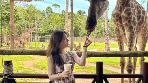 ฟู้โกว๊ก: บัตรเข้าวินเพิร์ลซาฟารีปาร์ค