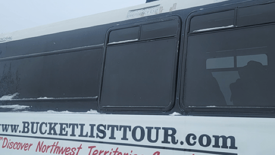 Yellowknife: Recorrido por la carretera de los bisontes salvajes