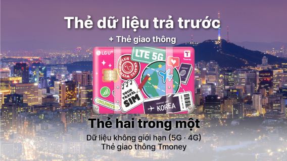 Hàn QuốcThẻ SIM & Wifi