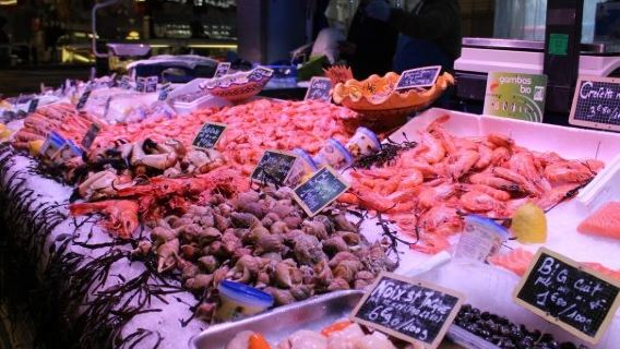 Semi-Private - Farmers Market