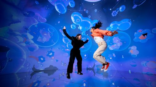 Dubai Attraction: HOUSE OF HYPE DUBAI Day Tours 4