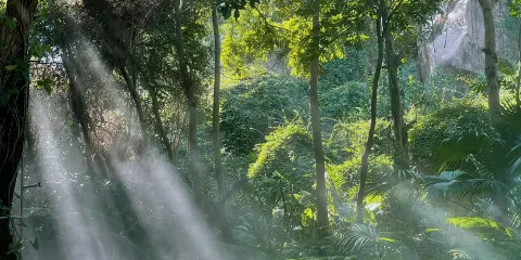 廈門海景時光一日遊【植物園+南普陀寺+環島路+山海健康步道】