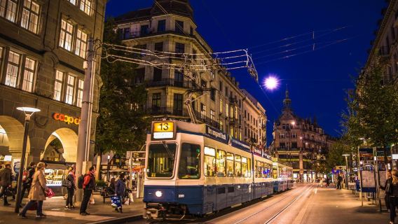 蘇黎世大教堂+蘇黎世湖+班霍夫大街+蘇黎世美術館【中文地陪】