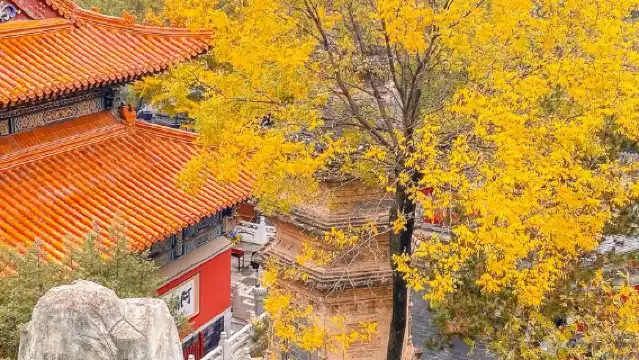 白瀑寺健行1日遊【門票+北京版黑神話+健行】