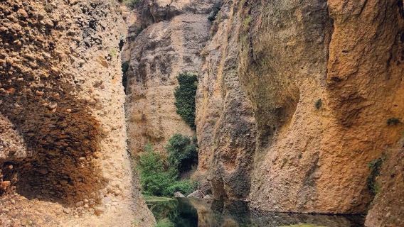 Seville-Ronda-Zahara White Village-private charter day tour