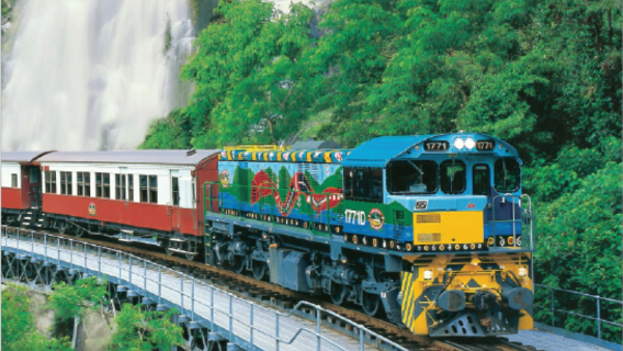 【クールディナー/コアラ抱っこ】ケアンズキュランダ熱帯雨林中文ツアー ワンデーツアー ツアー後空港送迎付き