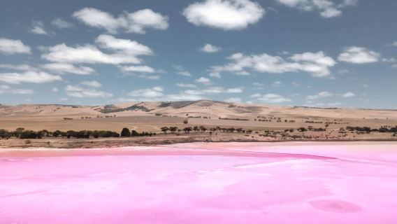 澳大利亞阿德萊德粉湖+芭蘿莎谷酒莊一日遊【趣味回音壁】