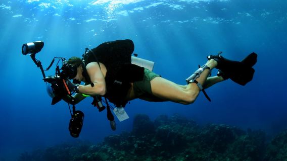 PADI Specialties (2 dives)