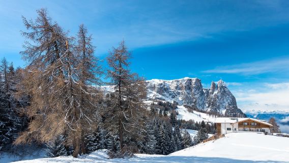 挪威卑爾根｜松恩峽灣+肖斯瀑布+弗洛姆【多/日遊可定制】