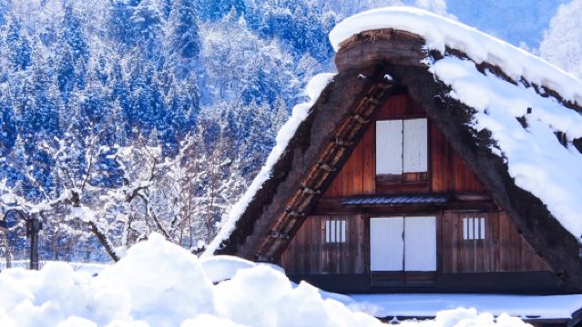 A 1-day tour to Takayama City and Shirakawa-go, Gifu Prefecture, Japan (Hida beef lunch optional).