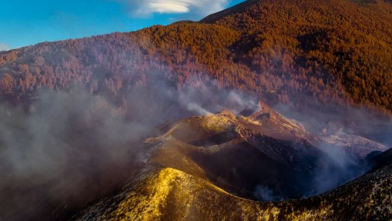 La Palma: Small Group Guided Day Tour from Tenerife + Lunch + Boat Ride