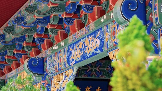 [Space-Time Folding Machine: From Confucian Dawn to Wetland Gilded Light] One-Day Stroll