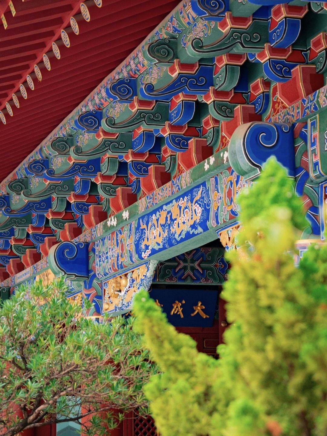 [Space-Time Folding Machine: From Confucian Dawn to Wetland Gilded Light] One-Day Stroll