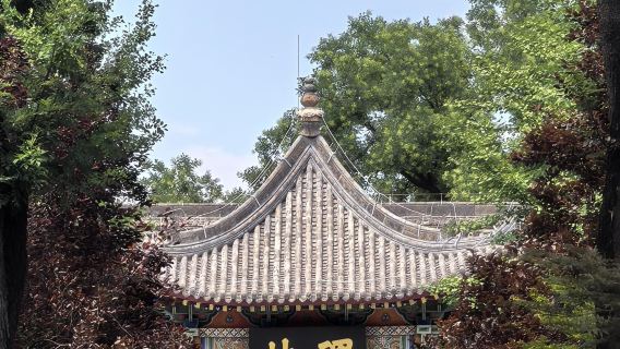 Xi'an Museum + Bell and Drum Tower + Forest of Stone Steles Museum + Qujiang Pool day tour with English service available