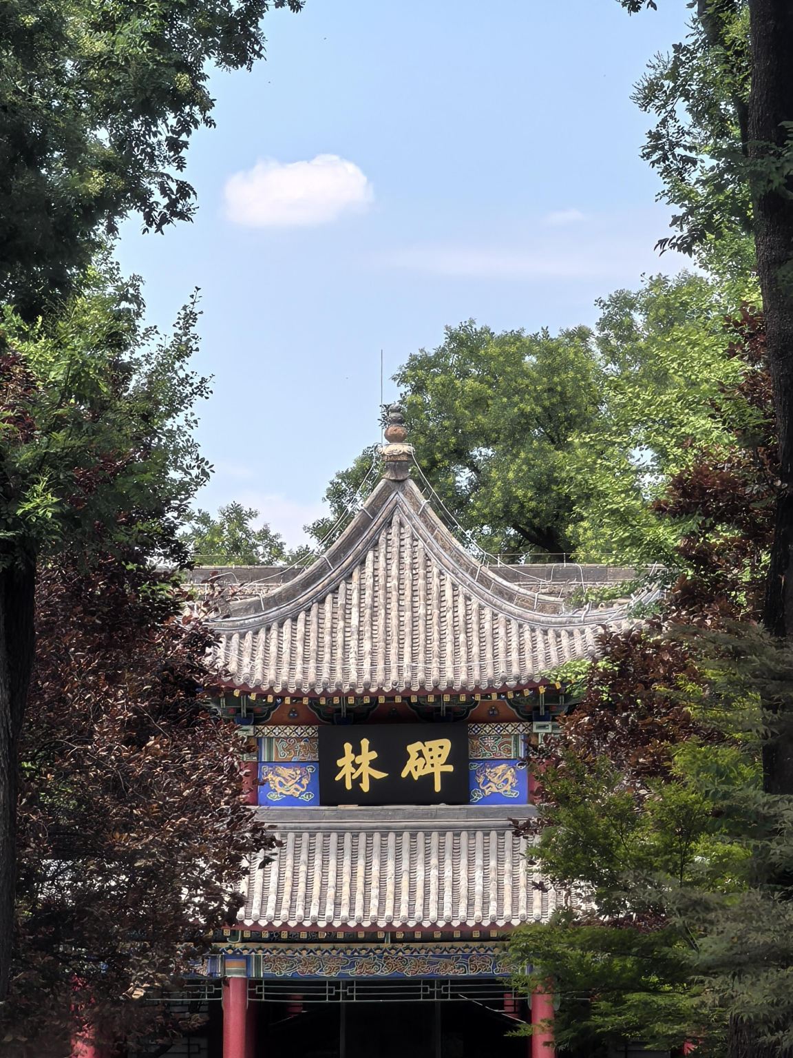 Xi'an Museum + Bell and Drum Tower + Forest of Stone Steles Museum + Qujiang Pool day tour with English service available