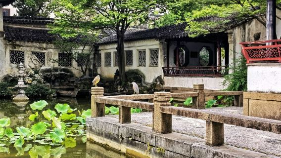 蘇州留園中文講解半日遊(尋訪冠雲峰奇石,漫步七百米複廊)