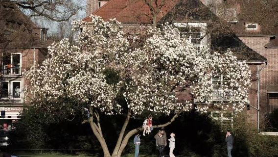 德國柏林埃伯斯瓦爾德一日遊