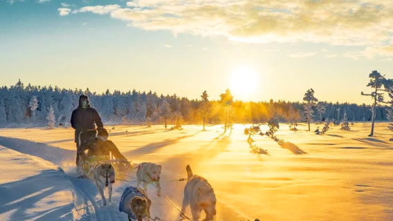 Tour 1 ngày thuê xe riêng tại Rovaniemi, Phần Lan