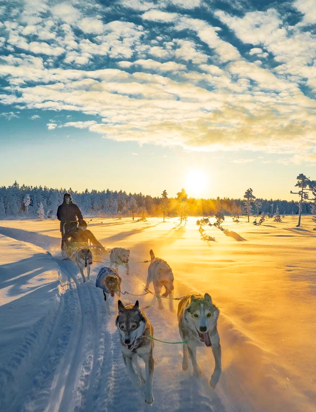Excursión de un día con servicio de coche privado con conductor en Rovaniemi, Finlandia