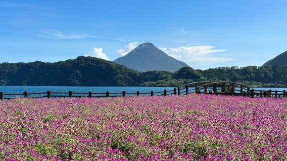 日本鹿兒島B線拼團一日遊【指宿線】