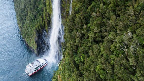 "Witness in the Name of Freedom" New Zealand - Milford Sound / Piopiotahi, Queenstown, Lake Te Anau