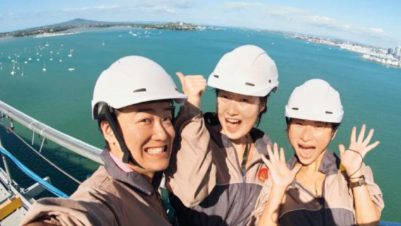 Tour a piedi in alta quota sul ponte di Auckland con bungee jumping/arrampicata nell'Isola del Nord della Nuova Zelanda|Include foto e video, con servizio di trasporto