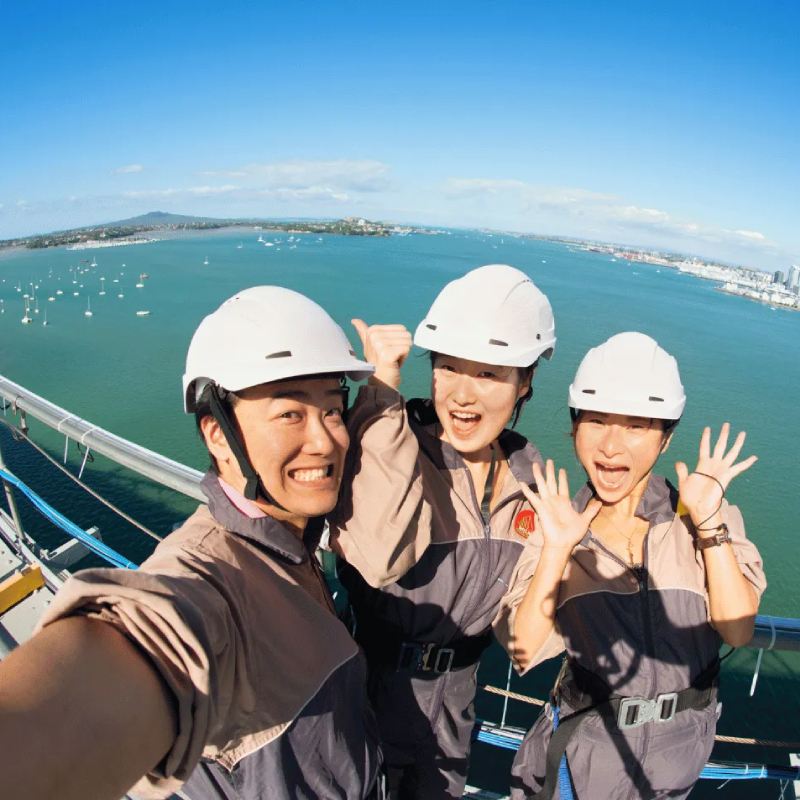 North Island, New Zealand: Auckland Bridge Bungee/Climb and Skywalk Experience|Includes photos and videos with pickup service available