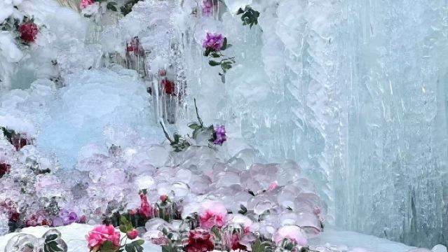 【洛陽出發】5A級景區白雲山1日遊·賞九龍瀑布·登玉皇金頂